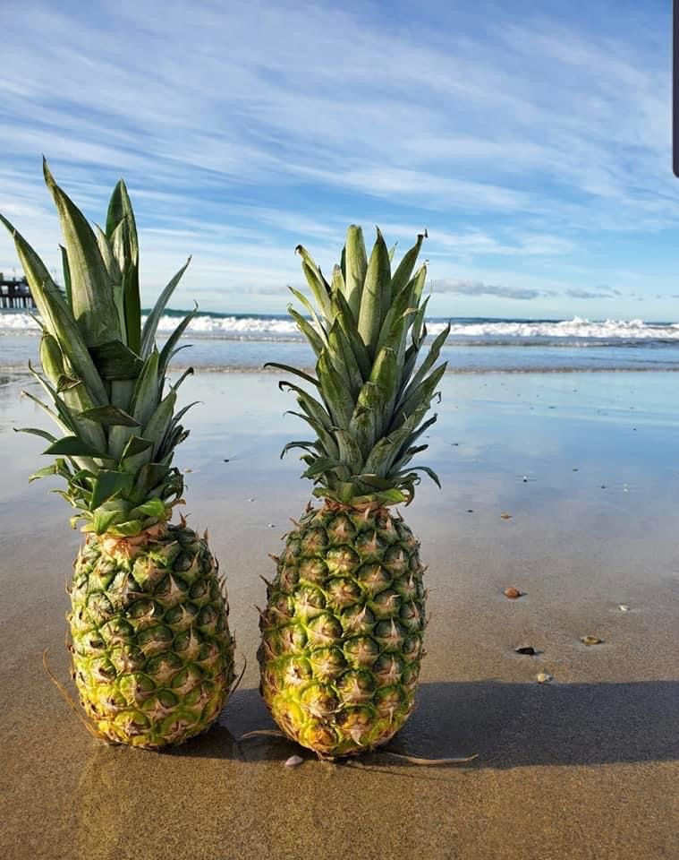 Two pineapples on a beach