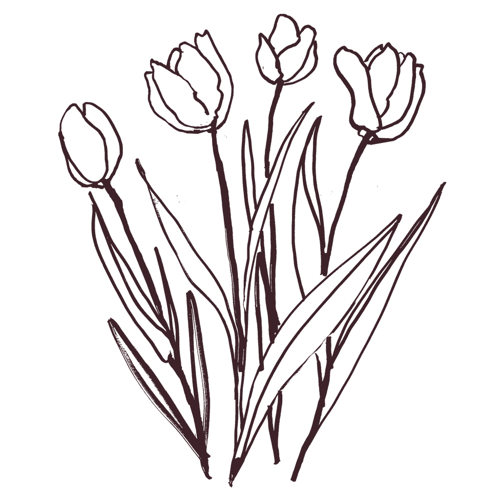 Illustration of flowers