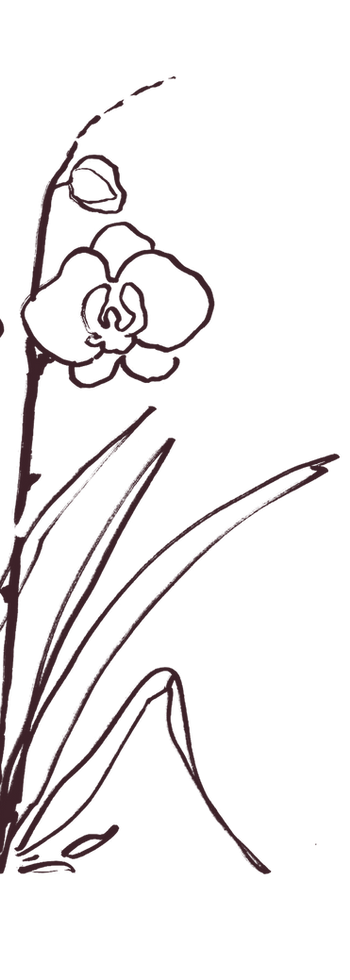Hand-drawn illustration of flowers