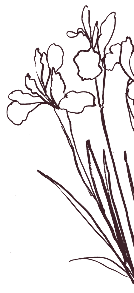 Hand drawn flowers