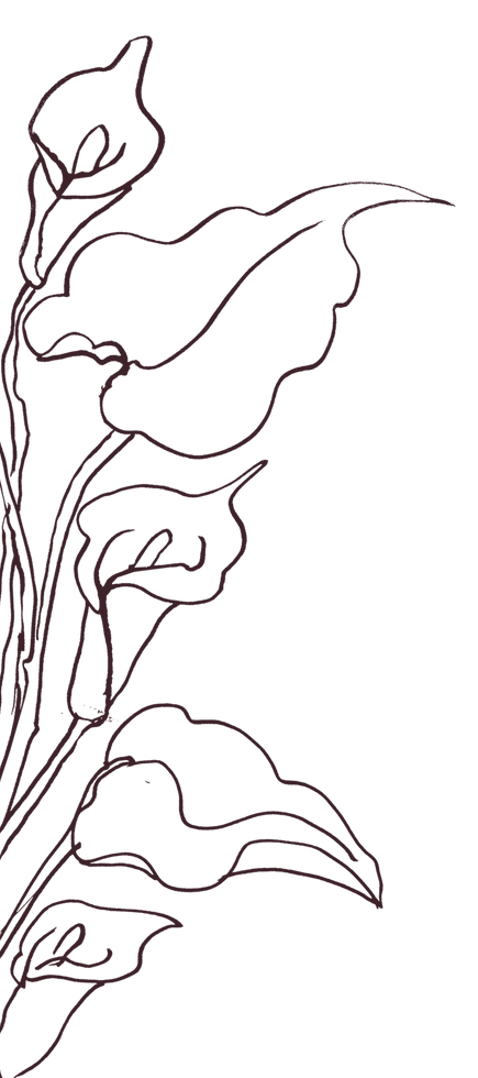 illustration of flowers