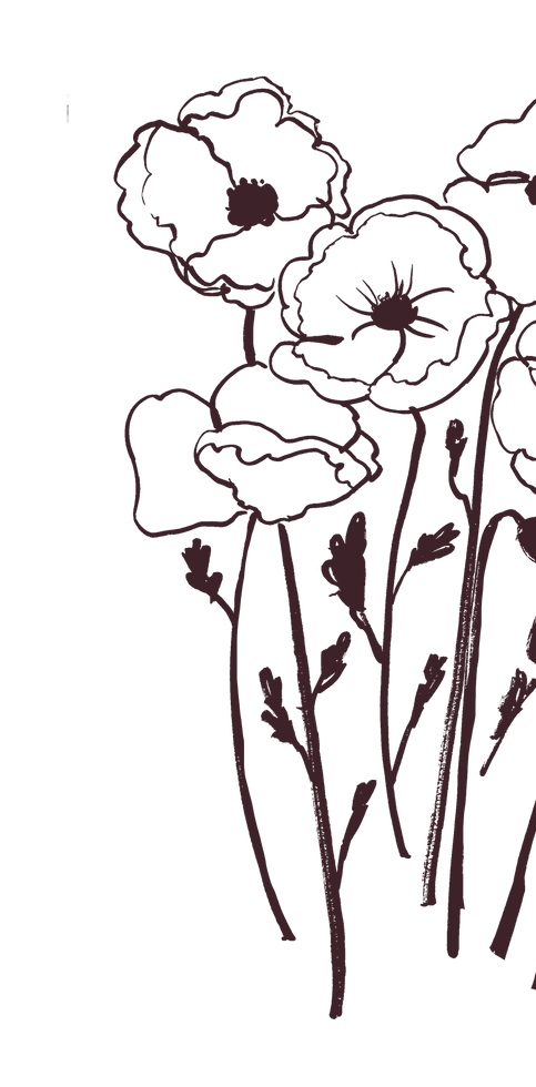 Hand drawn flowers