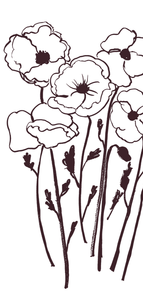 Hand drawn flowers