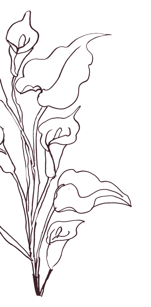 Hand drawn flowers