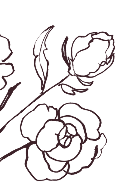 Decorative illusration of flowers