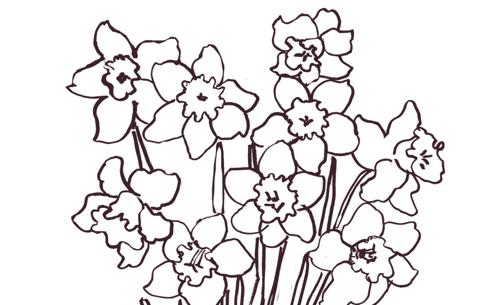Hand drawn flowers