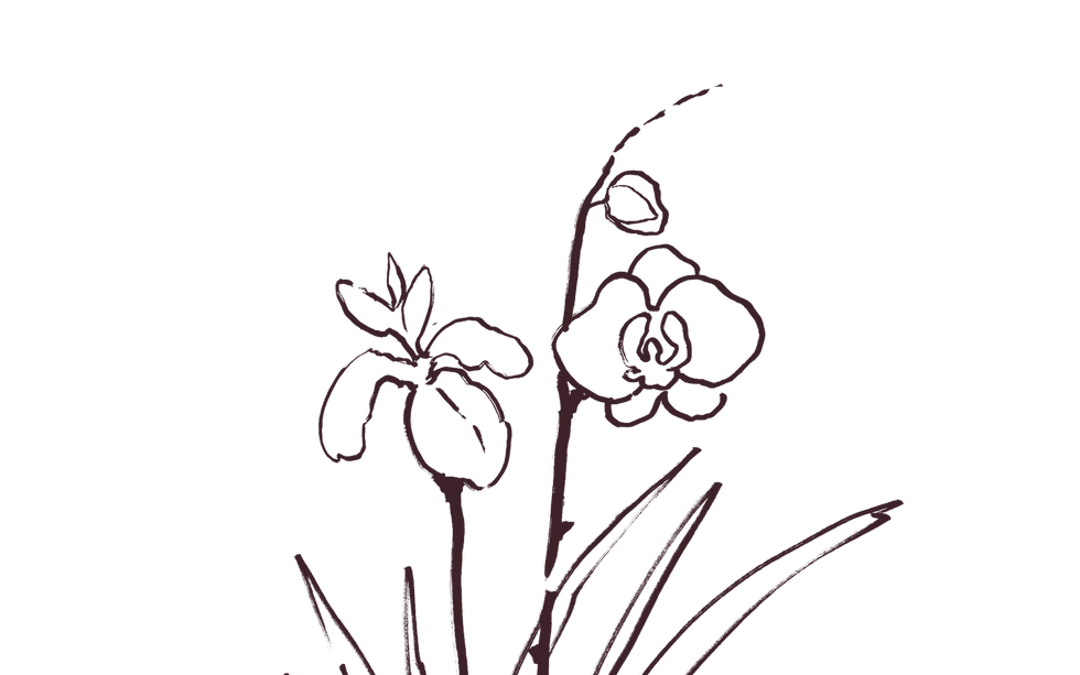 Hand drawn flowers