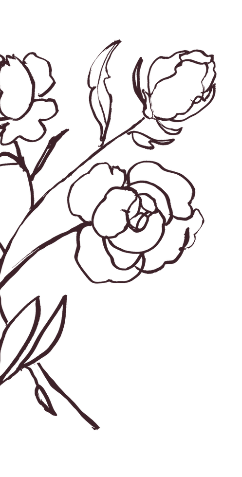 Hand-drawn flowers
