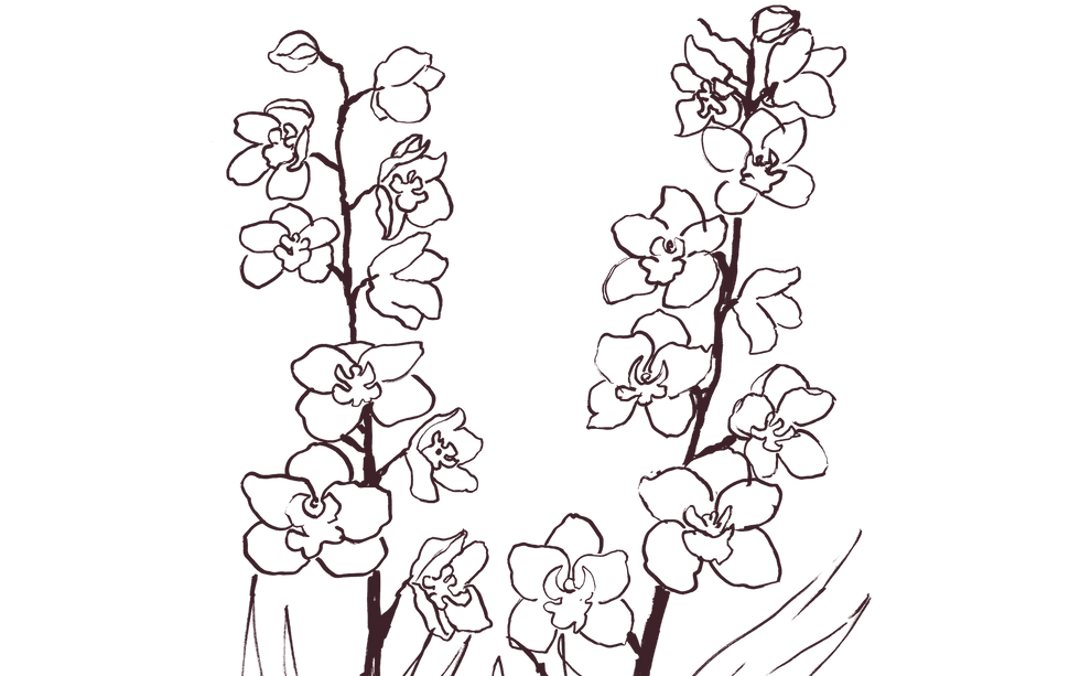 Hand drawn flowers