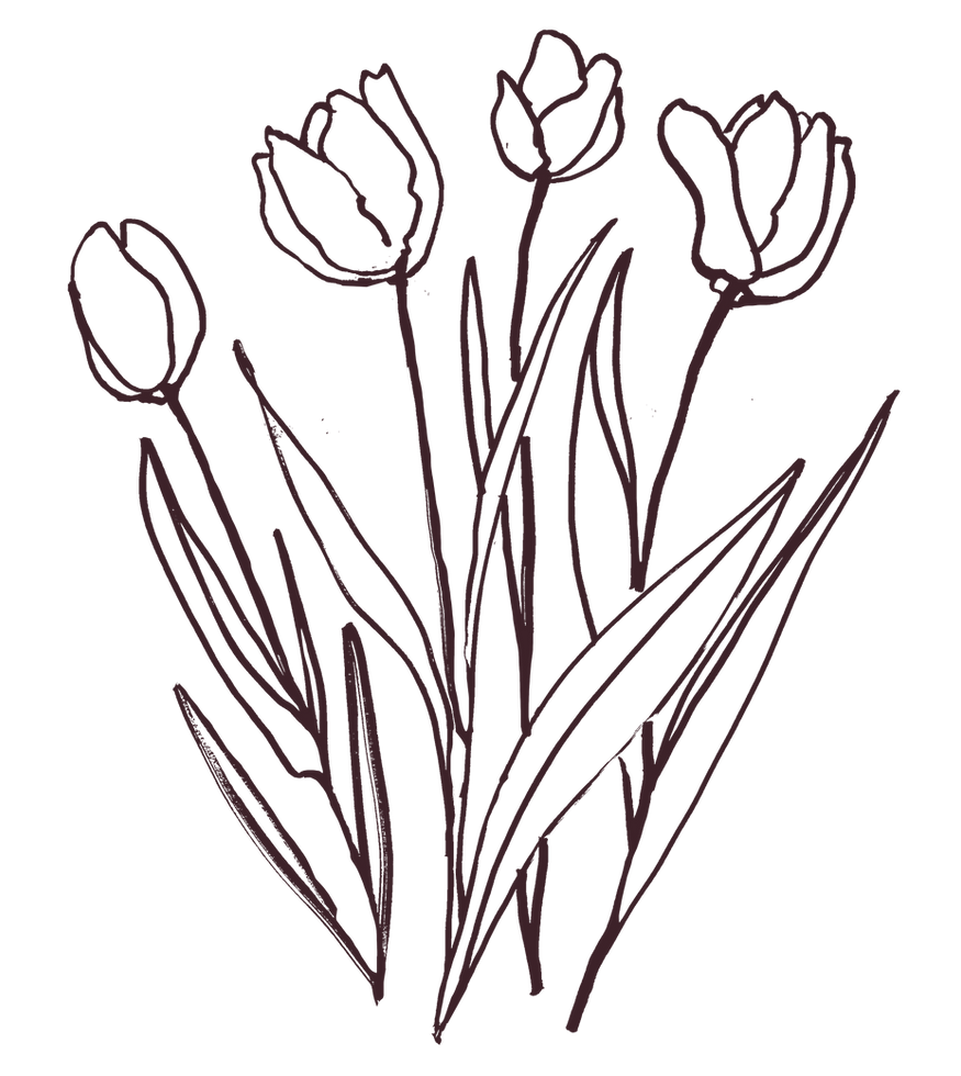 Hand-drawn flowers