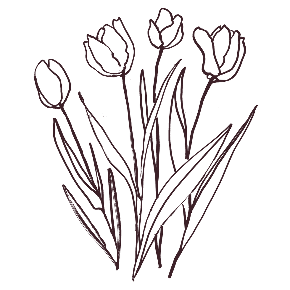 illustration of flowers