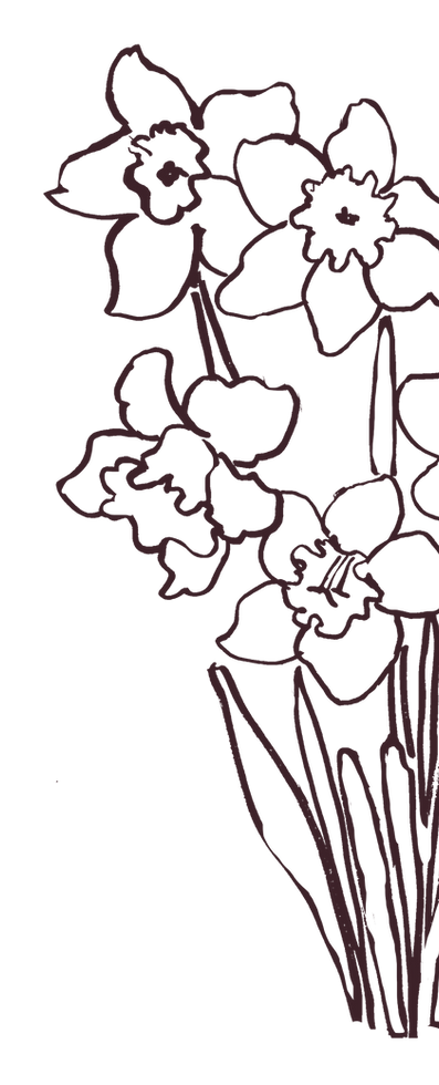 Hand drawn flowers