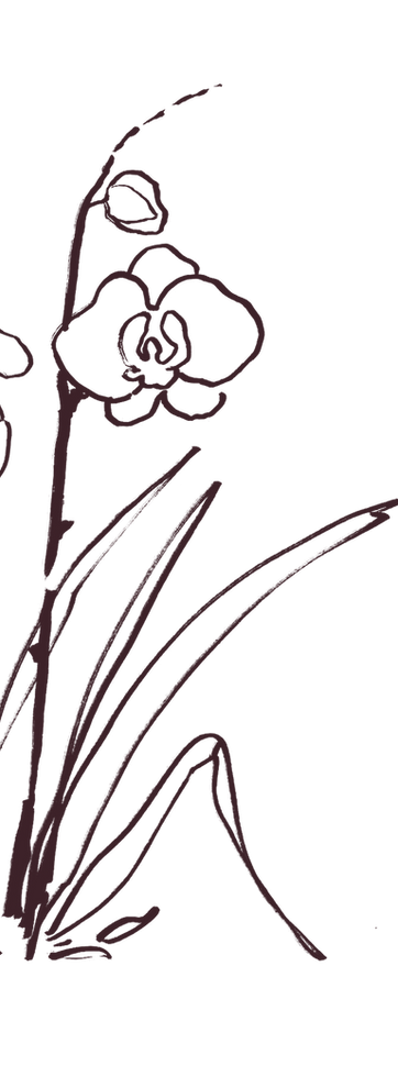 Hand drawn flowers