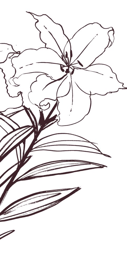 Hand drawn flowers