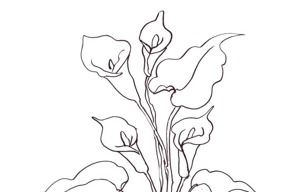 Hand-drawn flowers