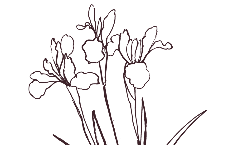 Decorative image of flowers